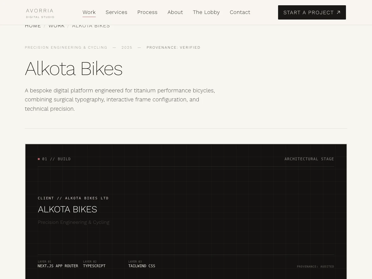 Alkota Bikes hand-welded titanium chainstay detail